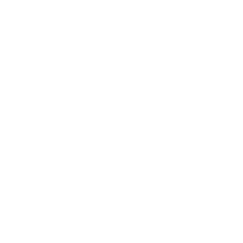 500x500 Zipline Icon