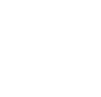 206x198 Icon Zipline