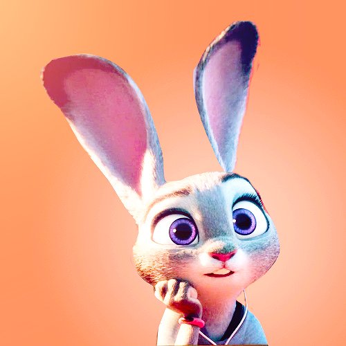 Resources On Twitter Icons Of Judy Hopps From Zootopia Are 500x500 Resources On Twitter Icons Of Judy Hopps From Zootopia Are